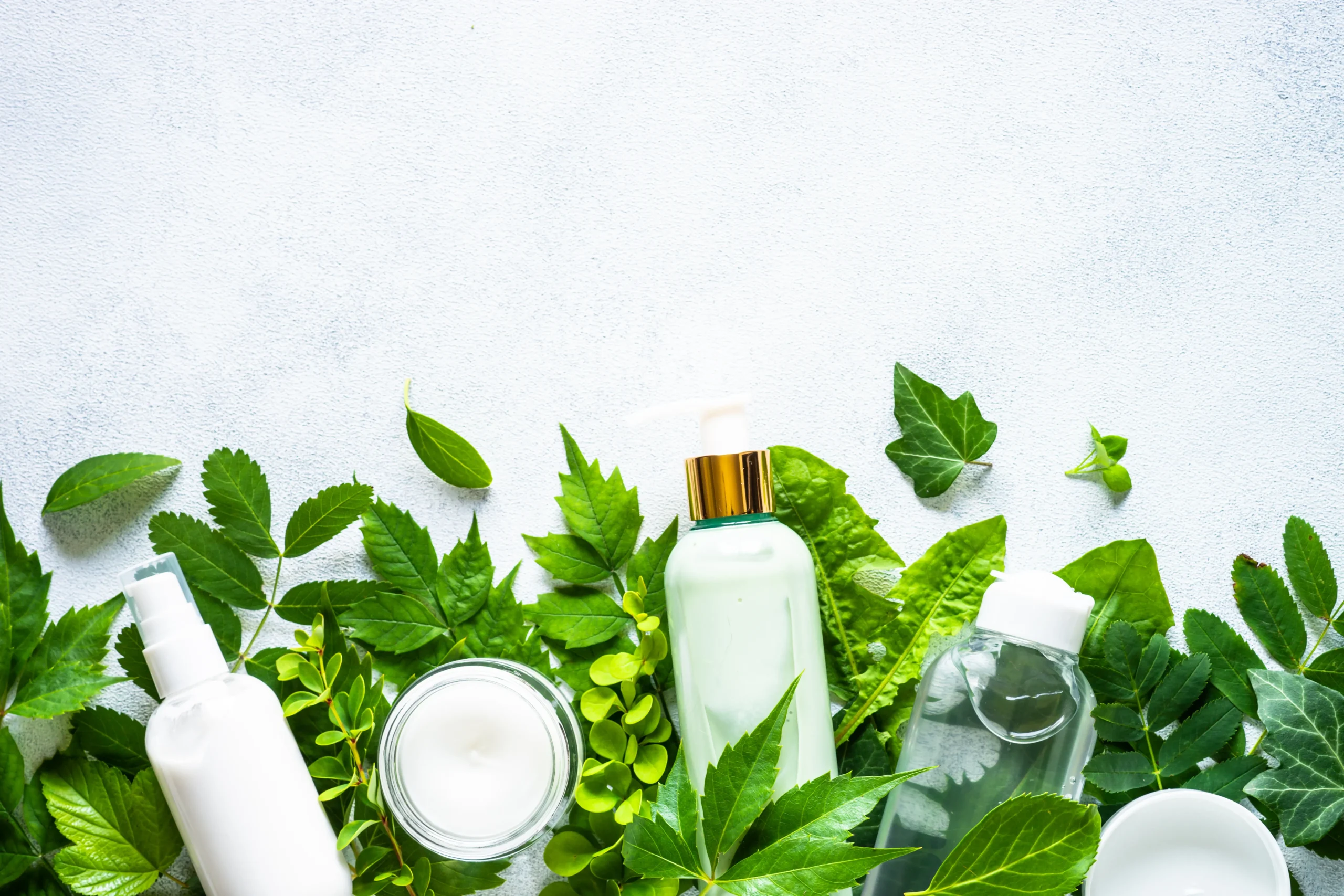 White cosmetic bottles, pump lotion dispenser, toner, and open cream jar arranged within a border of fresh green botanical leaves on white concrete.